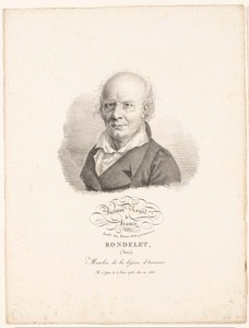 Portret van de architect Jean Rondelet