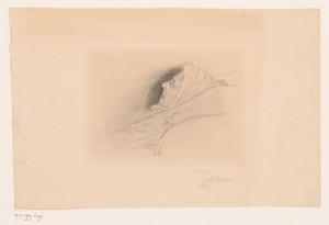 Portret van een onbekende vrouw op haar sterfbed