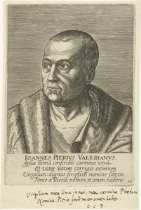 Portret van Gaimpietro Valeriano