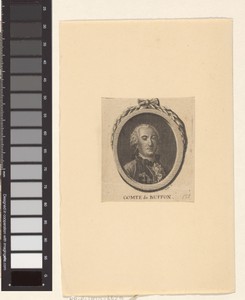 Portret van Georges-Louis Leclerc de Buffon