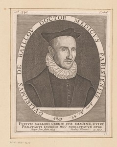 Portret van Guillaume de Baillou