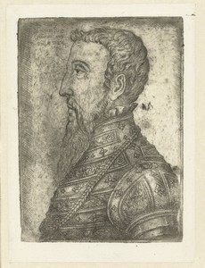 Portret van Hendrik II