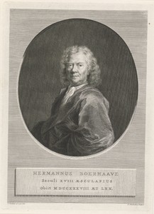 Portret van Hermanus Boerhaave