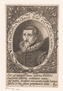 Portret van Johannes Philippus Pareus
