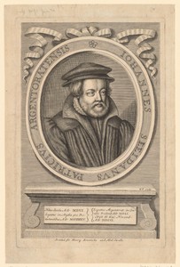 Portret van Johannes Sleidanus
