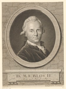 Portret van Marcus Elieser Bloch