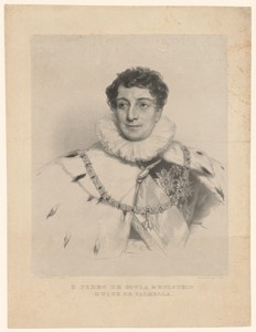 Portret van Pedro de Sousa Holstein