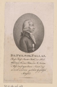 Portret van Peter Simon Pallas