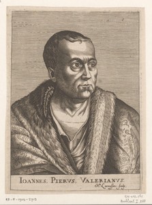 Portret van Piero Valeriano Bolzani