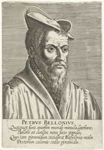 Portret van Pierre Belon