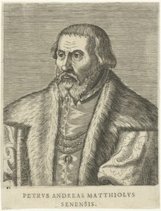 Portret van Pietro Andrea Mattioli