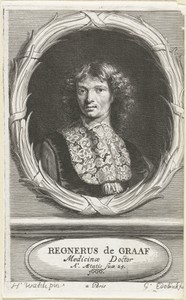 Portret van Reinier de Graaf