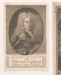 Portret van Sébastien Vaillant