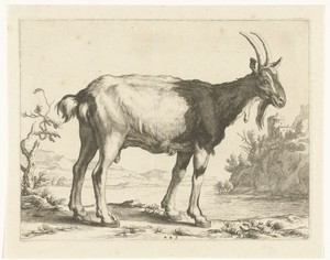 Portret van Willem Bartjens