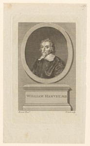 Portret van William Harvey