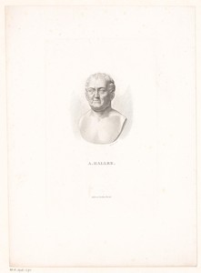 Portretbuste van Albrecht Haller
