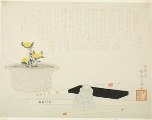 Potted adonis with writing implements