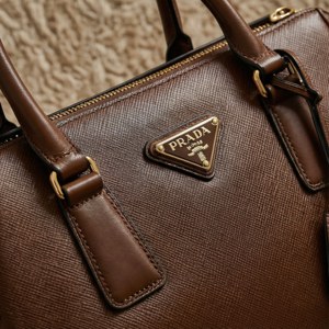 Prada Gold Hardware Detail