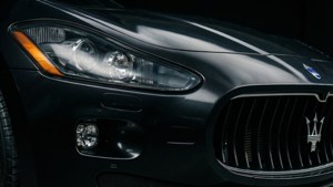 Predator's Gaze