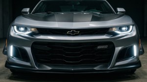 Predator Stance