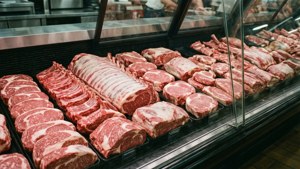 Premium Butcher Display