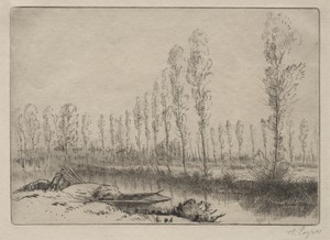 Près d'Amiens, les tourbières