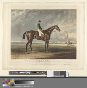 Priam. The Winner of the Derby Stakes at Epsom