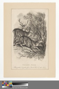 Print made by Samuel Howitt, 1756–1822, 1819