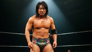 Pro Wrestling Pose