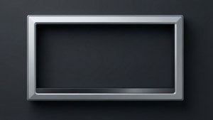 Professional Silver Frame