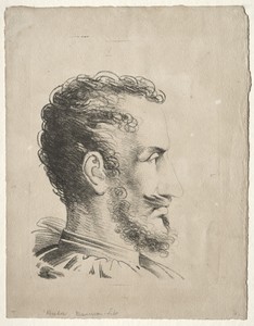 Profile Head