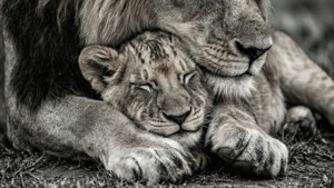 Protected Slumber