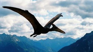 Pteranodon Mountain Flight