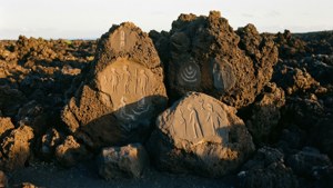 Pu'u Loa Petroglyphs