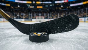 Puck and Stick Macro