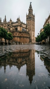 Puddle Reflection