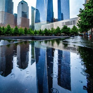 Puddle Reflection