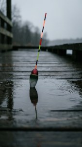 Puddle Reflection Bobber