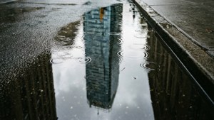 Puddle Reflections