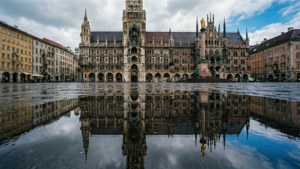 Puddle Reflections
