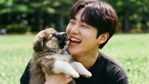 Puppy Love
