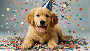Puppy Party Friday