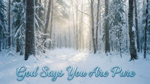 Pure Snow Forest