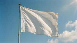 Pure White Flag Sky