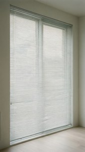 Pure White Serenity