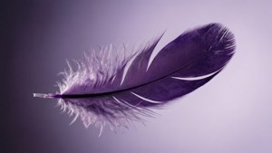 Purple Feather Float