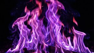 Purple Flame Dance