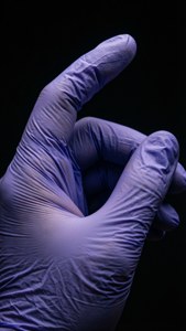 Purple Glove Close-Up