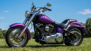 Purple Metallic Chopper