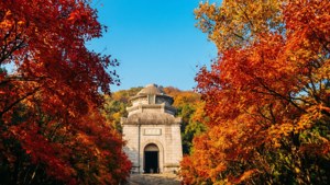 Purple Mountain Autumn